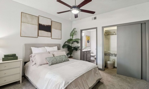 Explore Our 5 One-Bedroom Floor Plans Cover Image
