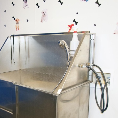 pet spa area