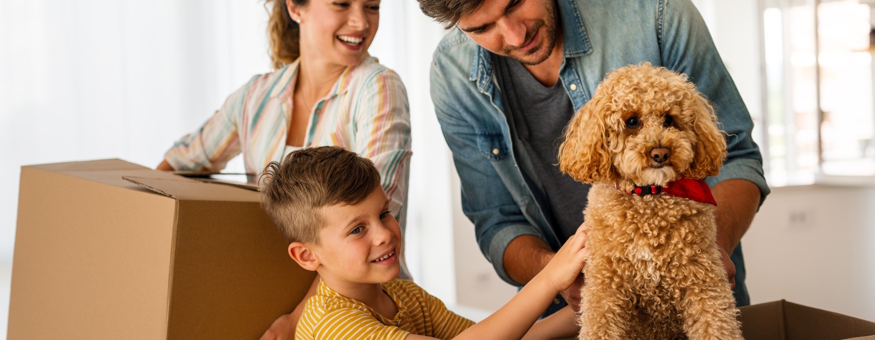 Pet-Friendly Apartments in San Antonio, TX